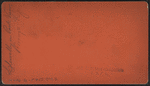 Llewellyn Park View, Orange, N.J.