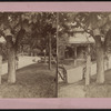 Llewellyn Park View, Orange, N.J.