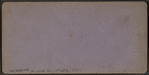Profile view of Palisades, looking north - 'A Group of Beauties.'