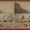 Profile view of Palisades, looking north - 'A Group of Beauties.'