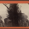 The Palisades, opposite Yonkers, looking up the River.