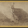 View up the River from the top of the Palisades.
