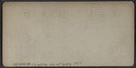 Palisades, Hudson River, N.Y.
