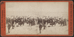 Beach and bathing scene.