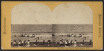 The Surf at Long Branch, N.J.