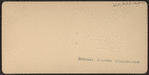 The Race at Monmouth Park, Long Branch, N.J.