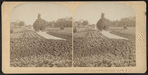 Hoey's Grounds, Long Branch, N.J.