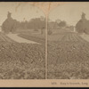Hoey's Grounds, Long Branch, N.J.