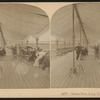 Ocean Pier, Long Branch, N.J.
