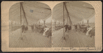 Ocean Pier, Long Branch, N.J.