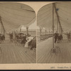 Ocean Pier, Long Branch, N.J.