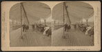 Ocean Pier, Long Branch, N.J.