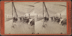 Long Branch Pier."