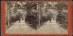View in Hoey's Park. "Hollywood," Long Branch.