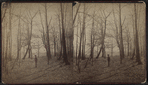 Stroll in 'Hollywood,' Long Branch, N.J.