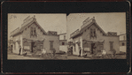 Pach's Photographs Gallery.