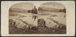 Passaic Falls, N.J.