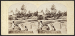 Cascade on the Passaic River, Paterson, near New York.
