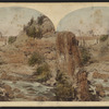View at Paterson, New Jersey.