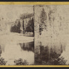 The Falls and Bridge across the Gully, from the Basin or Whirpool.