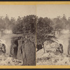 Passaic Falls, Paterson, N.J.