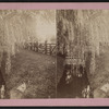 Carey's Place, Mt. Clair, N.J.