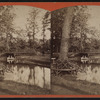 Lake Oreda and Rustic Bridge.