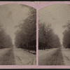 Trinity Street, Newton, N.J.