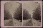 Trinity Street, Newton, N.J.