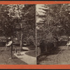 View of the State House Grounds at Trenton, N.J.