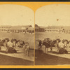 View of "Mexican burros" with building in the background.