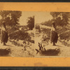 Pueblo woman balancing a pot on her head.