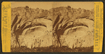 Cochiti, the painted cave, New Mexico.