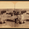 Pueblo of San Juan.