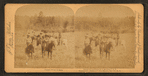 Group of cowboys, New Mexico, U.S.A.