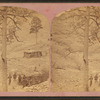 Pine Tree gulch.