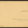Lizard of New Mexico.