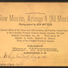 Whip tailed lizard.