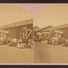 Wool Freighting Teams, Las Vegas, NM