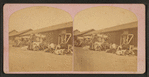 Wool Freighting Teams, Las Vegas, NM