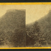 Profile or Cannon Mountain.