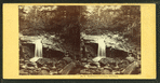 Thompson's Cascades. Shelf Rock.
