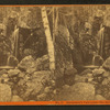 Thompson's Cascades. The Bath, Pinkham Notch, N.H.