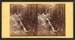Thompson's Cascades. Grinnell's Fall.