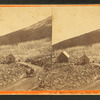 Silver Forrest [sic] and Half-Way House, Mt. Washington, N.H.