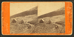 Silver Forrest [sic] and Half-Way House, Mt. Washington, N.H.