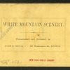 Artists' Brook and Meadows, North Conway, N.H.