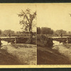 Artists' Brook and Meadows, North Conway, N.H.