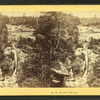 Silver Cascade.
