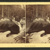 The Basin.
